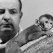 Harry Harlow fez um experimento com o macaco Rhesus para analisar a importância da afetividade