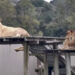 Zoo de Curitiba reabre para visitas a pé na próxima terça.
Foto: Divulgação