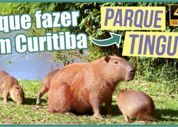 PARQUE-TINGUI-O-que-todo-mundo-DEVERIA-SABER-[Curitiba]