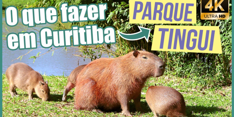 PARQUE-TINGUI-O-que-todo-mundo-DEVERIA-SABER-[Curitiba]