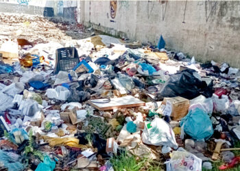 Rua Omar Raymundo Picheth, próximo a Linha Verde: Formação de um verdadeiro lixão a céu aberto! Alguns terrenos que estão sendo desapropriados no entorno da estação São Pedro, na Linha Verde, vem sendo usados como "bota fora" e gerando 
reclamações dos moradores. O acúmulo de materiais recicláveis, orgânicos ou inservíveis de maneira inadequada contribui para o surgimento de animais que são atraídos por sujeira. Esses materiais 
também favorecem o acúmulo de água e, por 
consequência, o risco de focos de mosquitos que podem transmitir doenças, como a dengue.