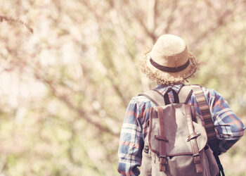 Hipster man traveling to any young man, beautiful Sakura blossom garden, full of natural pink.