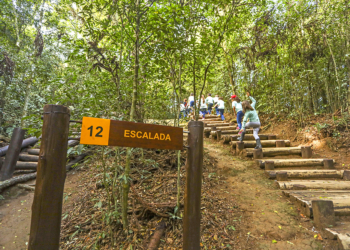 Antes da tão esperada trilha com os brinquedos de madeira do Bosque Reinhard Maack, no Hauer, os 29 alunos da Escola Municipal Professor Sonia Maria Coimbra Kenski puderam conhecer mais sobre a área de mata e sobre o aventureiro que dá nome à unidade de conservação, revitalizada e reaberta em agosto deste ano.
Curitiba, 05/09/2017
Foto:Daniel Castellano/SMCS