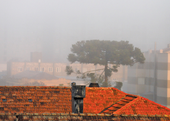 Simepar prevê inverno gelado e seco, com muito nevoeiro e alguns veranicos
 Foto: Geraldo Bubniak/AEN