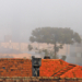 Simepar prevê inverno gelado e seco, com muito nevoeiro e alguns veranicos
 Foto: Geraldo Bubniak/AEN