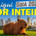 Capivara descansando com a vista do Parque Barigui atrás